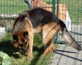 Pension_22