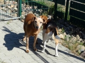 Pension_22