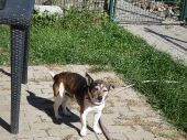 Pension_22