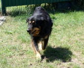 Pension_23