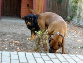 Pension_23