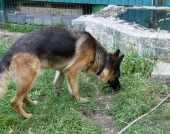 Pension_25