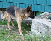 Pension_26