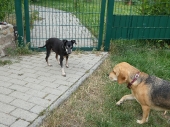 Pension_2