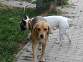 Pension_31