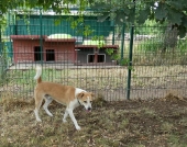 Pension_3