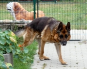 Pension_58