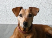 Pension_5
