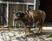 Pension_61