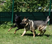 Pension_72