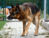 Pension_7