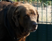 Pension_7