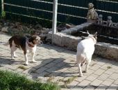 Pension_84