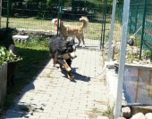Pension_12