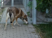 Pension_14