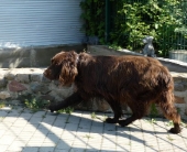 Pension_2