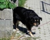 Pension_2