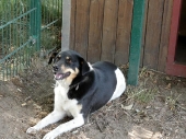 Pension_35