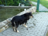 Pension_39
