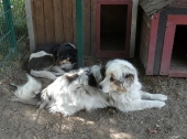 Pension_39