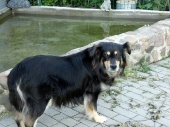 Pension_40