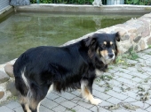 Pension_41
