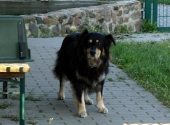 Pension_43