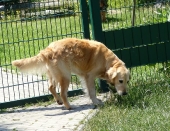 Pension_46