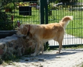 Pension_47