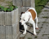 Pension_4