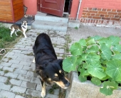 Pension_57