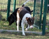 Pension_15
