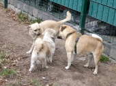 Pension_19