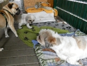 Pension_21