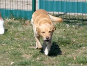 Pension_23