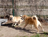 Pension_2