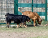 Pension_41