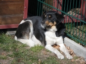 Pension_42