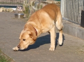 Pension_44