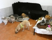Pension_48