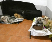 Pension_49