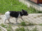 Pension_10
