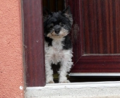 Pension_11