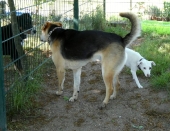 Pension_12