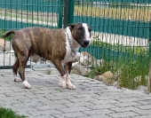 Pension_21