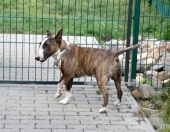 Pension_22