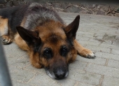 Pension_25