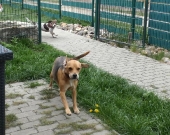 Pension_2