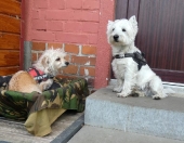 Pension_2