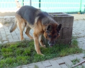 Pension_38